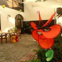 Napórás Cafe