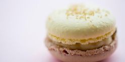 Chez Dodo macaron manufaktúra
