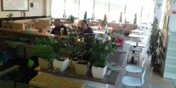 Penthouse cafe & food bar