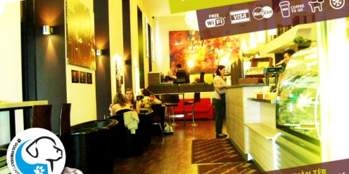 California Coffee Company Liszt Ferenc