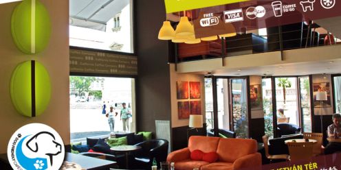 California Coffee Company Bazilika